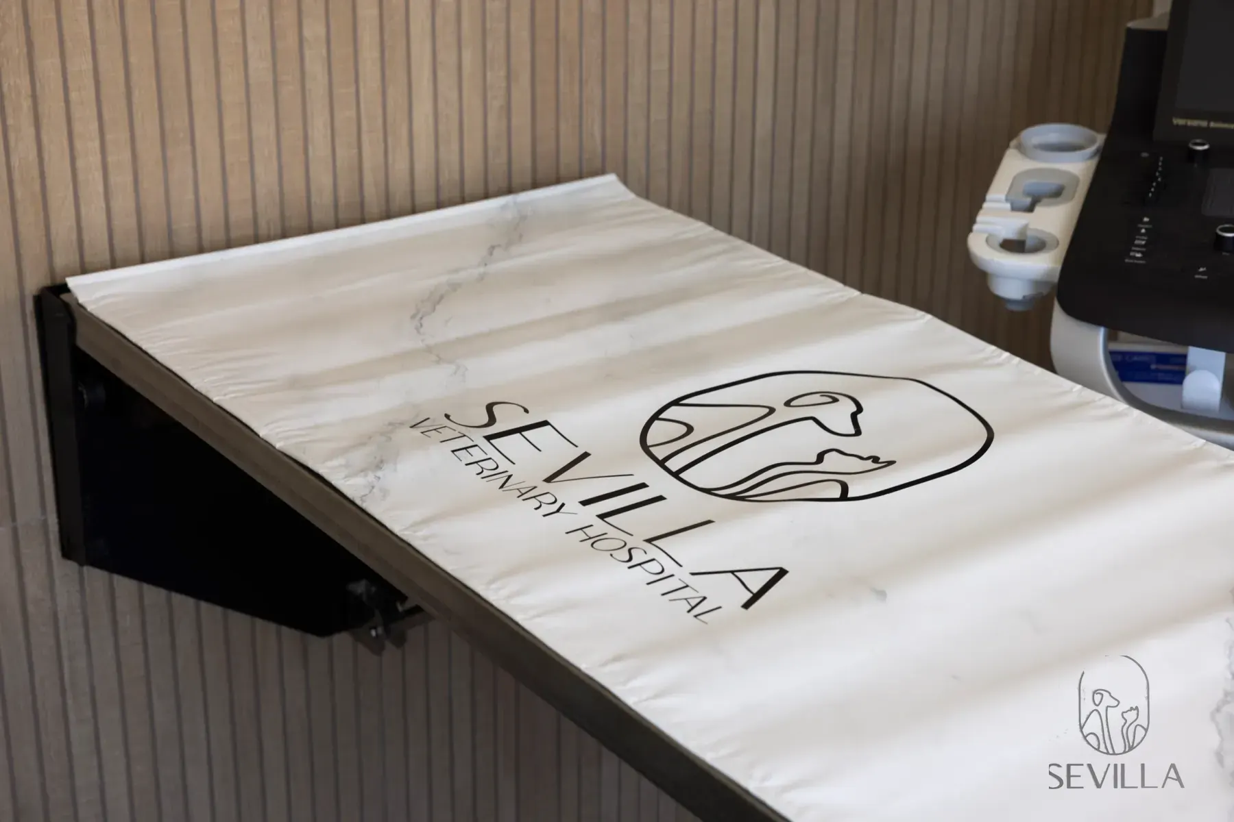 Stainless veterinary exam table with teal cabinetry and Sevilla branding