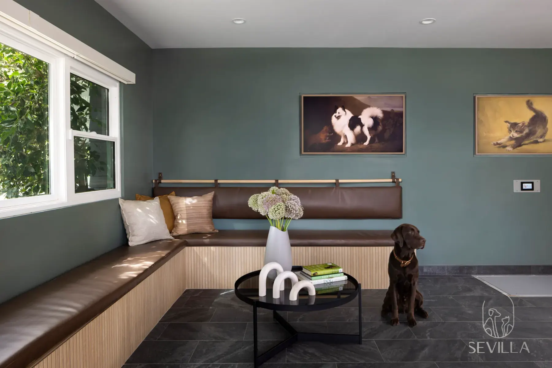 Clinic waiting lounge with built-in seating and a calm dog on the floor
