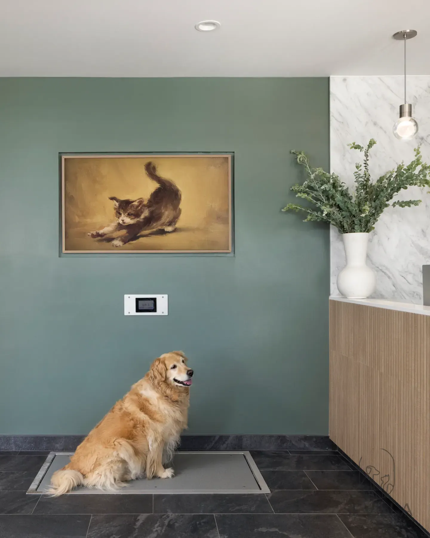 Veterinary clinic lounge area with a floor scale and seating