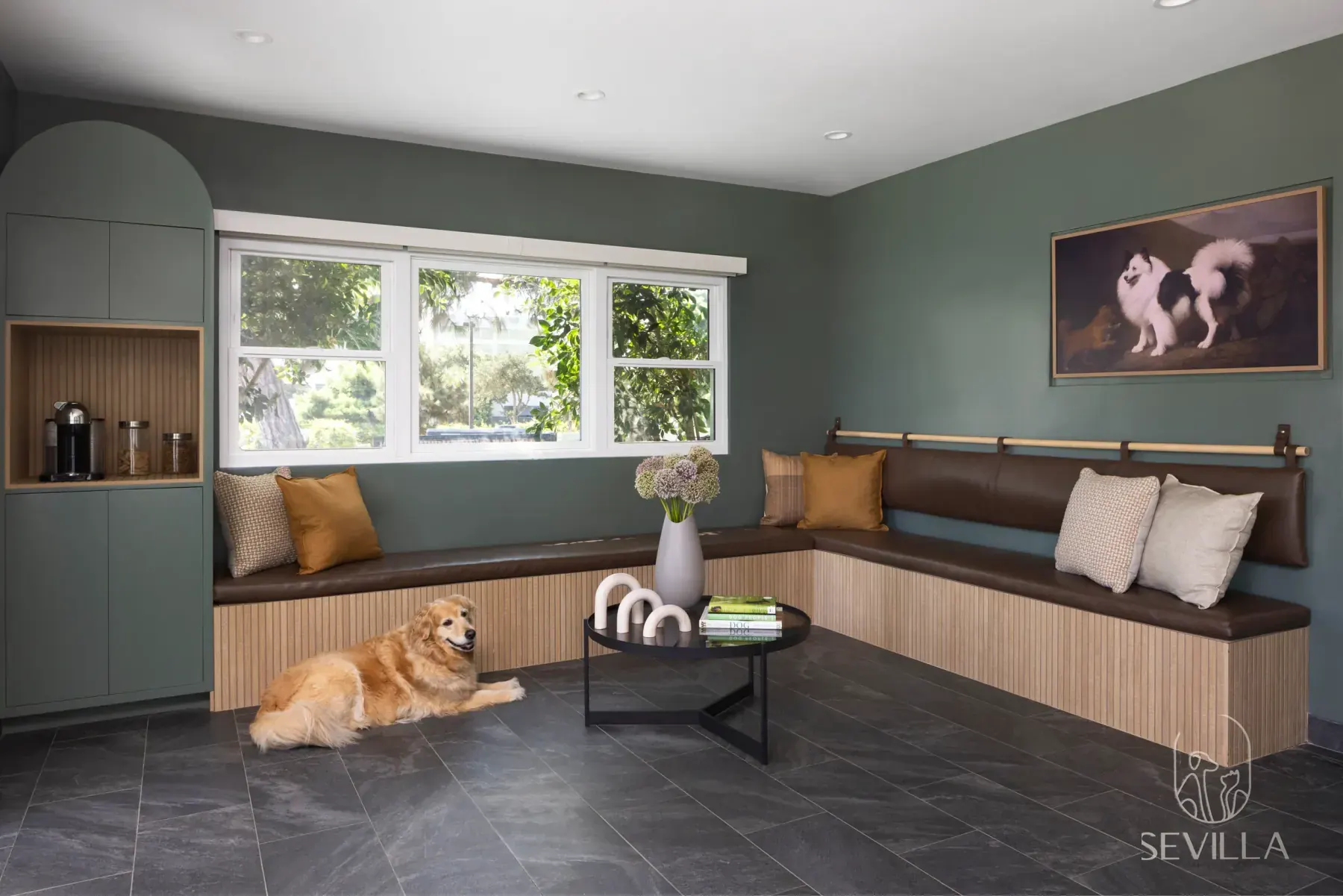 Veterinary waiting lounge with built-in seating, soft lighting and a calm dog resting on the floor