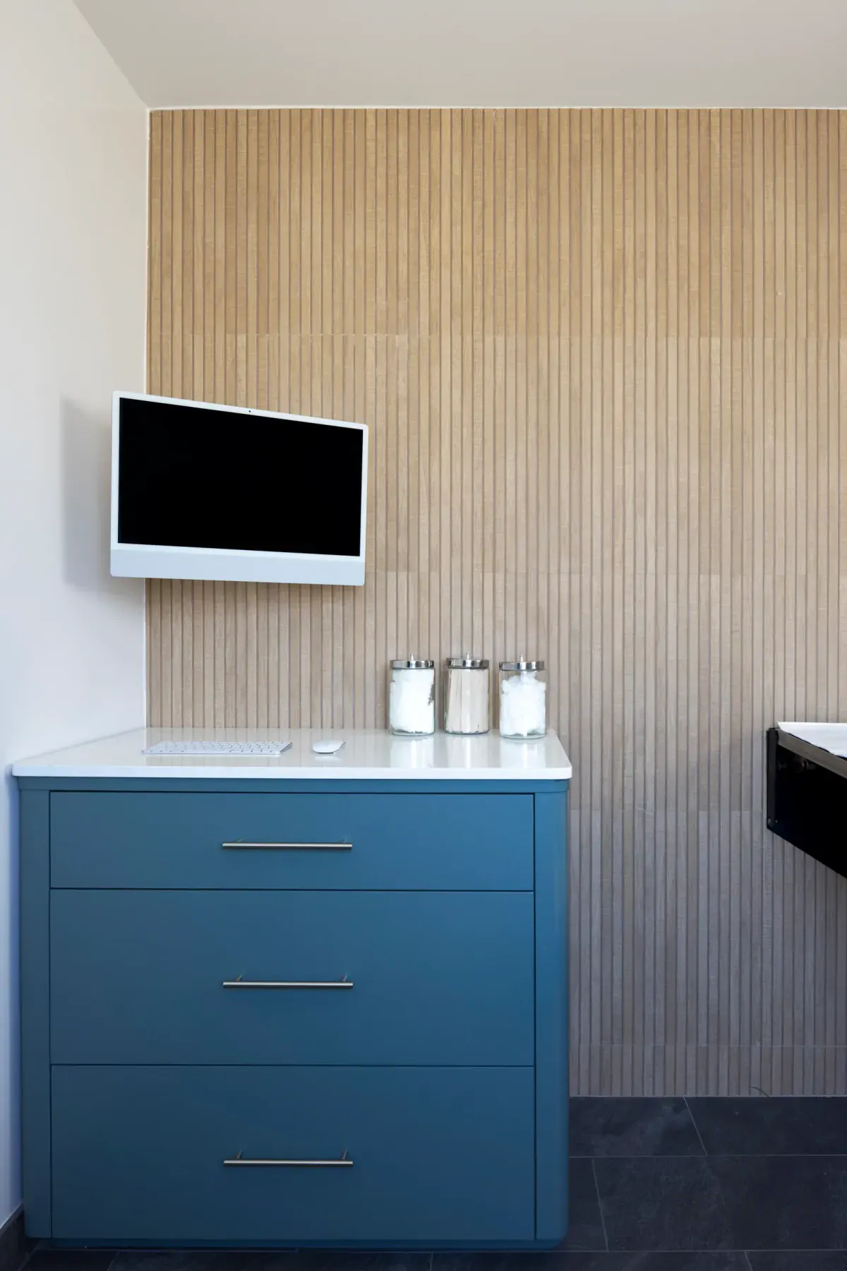 Vertical view of a veterinary exam-room counter, cabinetry and wall-mounted monitor