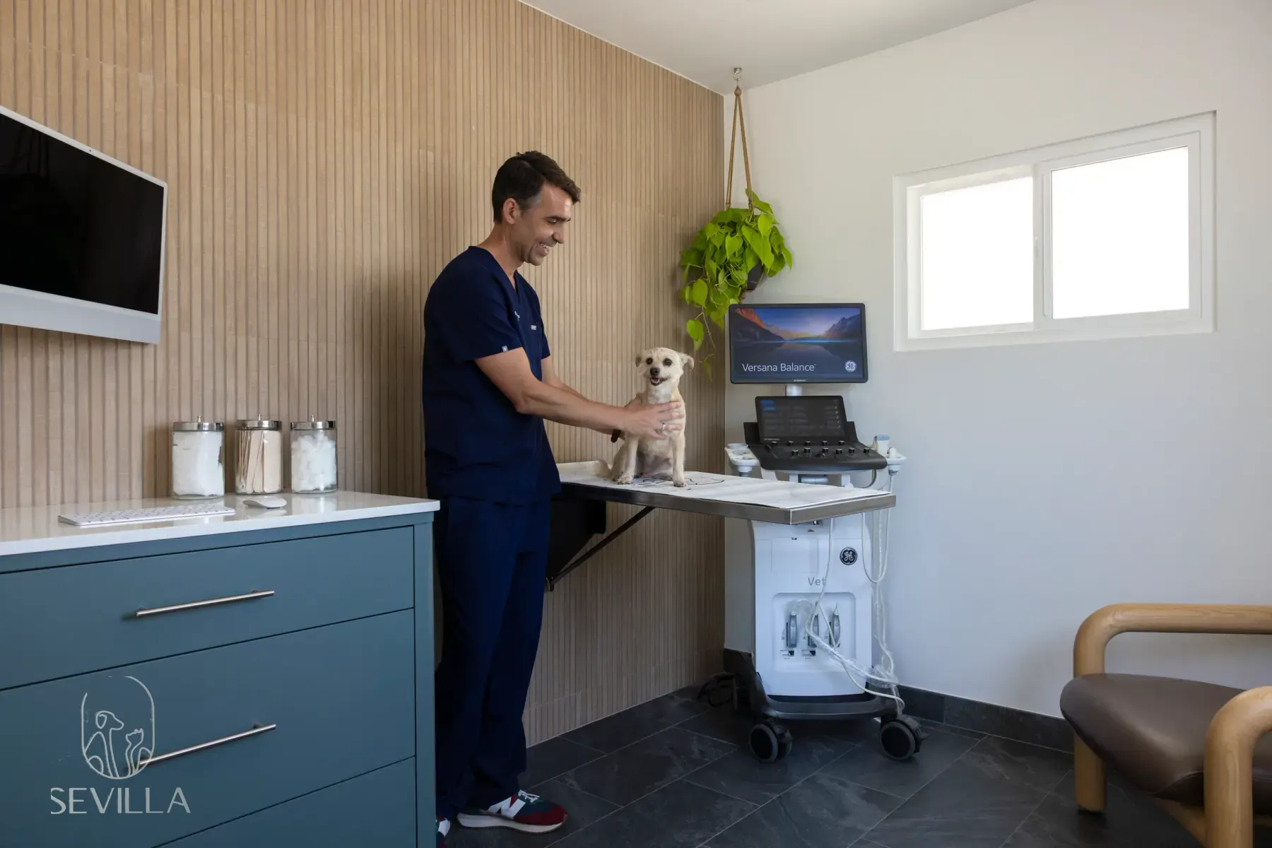 Veterinarian examining a small dog on a stainless table in a modern exam room