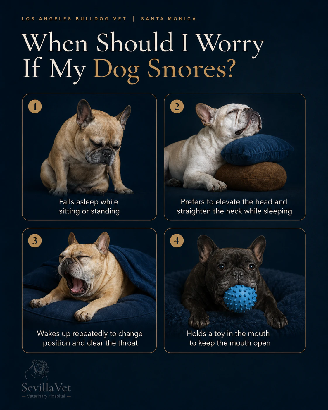 Educational infographic listing four sleep warning signs related to snoring in bulldogs