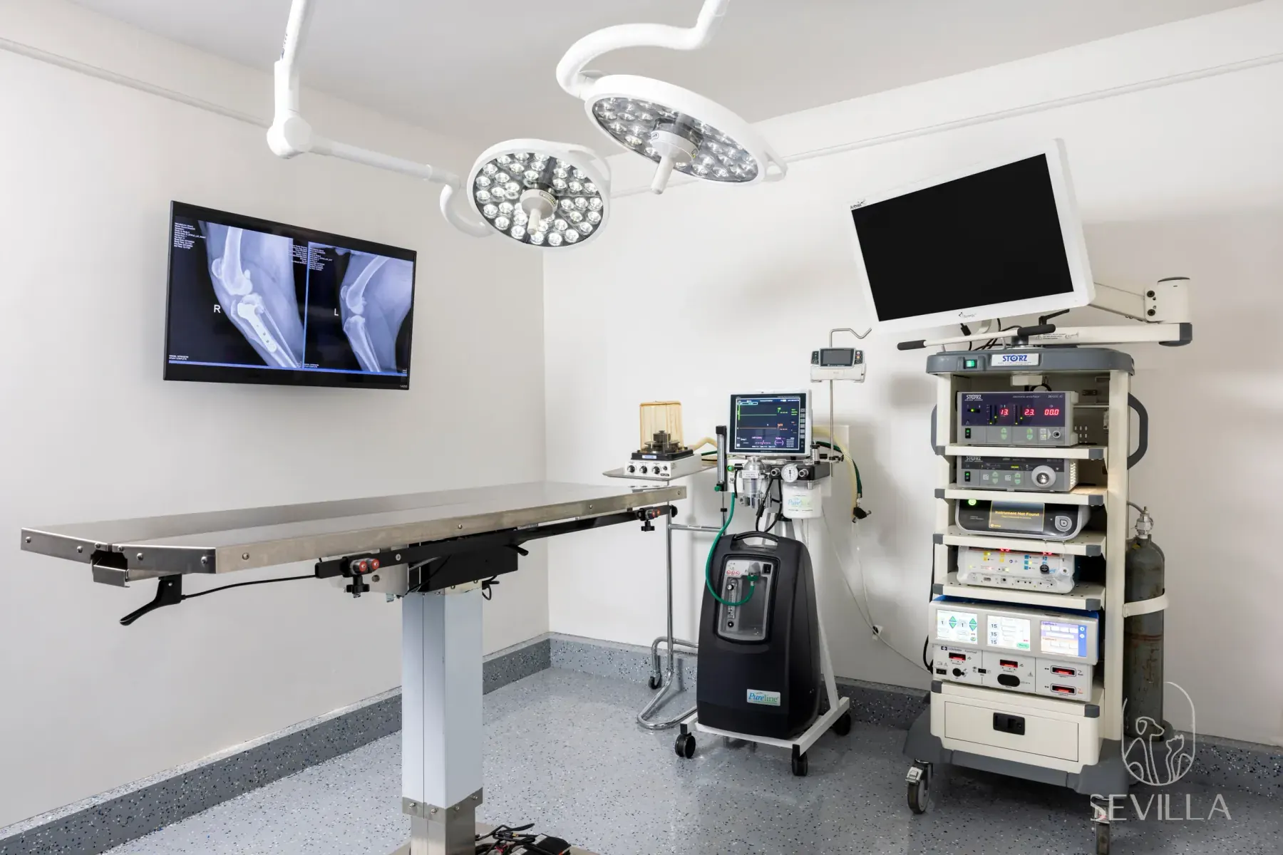 Empty veterinary operating room with surgical lights, table and monitoring equipment