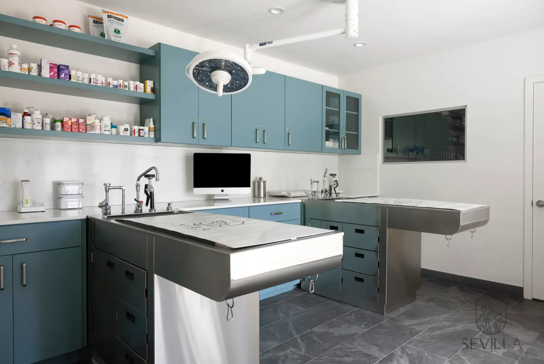 Veterinary treatment room with teal cabinets, stainless tables and ceiling surgical light